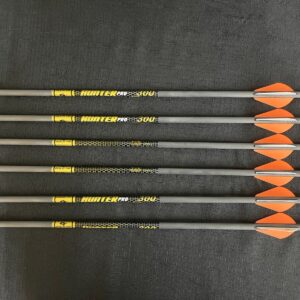 Gold Tip Hunter Arrows 300 with Raptor Vane (Pack of 6)