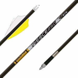 Gold Tip Hunter Arrows Pierce 250 with Raptor Vane (Pack of 6)