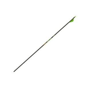 Gold Tip Hunter XT 340 Arrows with Raptor Vane (Pack of 6)