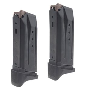 Security-380 .380ACP 2-10rd Mag