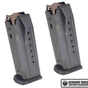 Security-380 .380ACP 2-15rd Mag