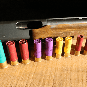 Shotgun Shells