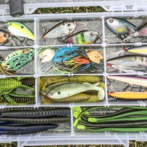 Lures & Baits