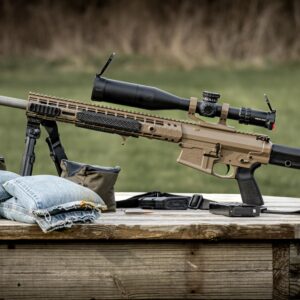AR-10s