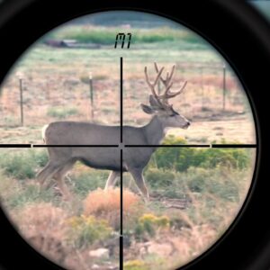 Rifle Scopes