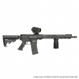 Custom FROSTY FREEDOM AR-15 build